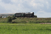 21.08.2013 Lokomotywa parowa Ol49-59 zbliża się do Wolsztyna