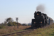 22.10.2013 Parowóz Ol49-59 przejeżdża przez most w Adamowie
