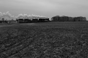 16.02 Pociąg Ryszard z parowozem Ol49-69 w drodze do Rakoniewic
